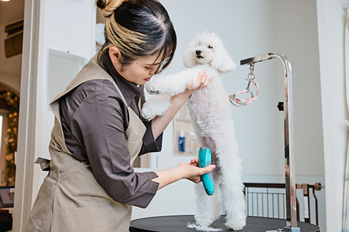 衛生部分バリカン／足回りカット