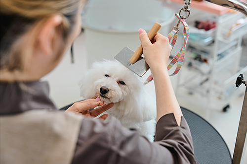 抜け毛処理／もつれとり